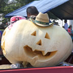 2016 Versailles Pumpkin Show